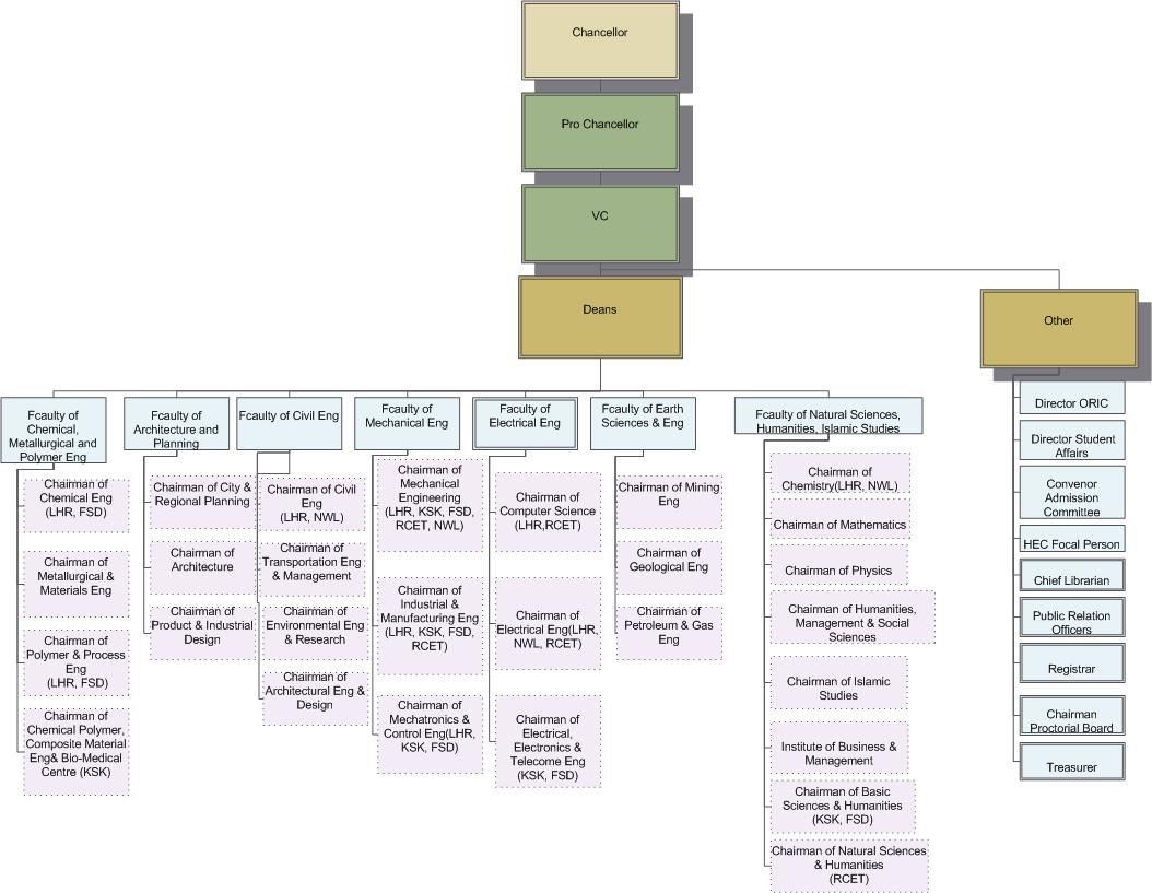 organogram2